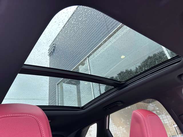 プジョー ３００８ ＧＴ ブルーＨＤＩ レッド ナッパ ディーゼルターボ R3年 (東北) 99