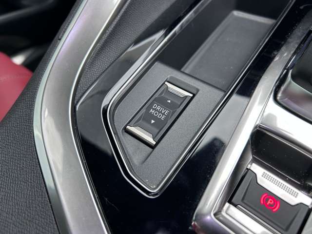 プジョー ３００８ ＧＴ ブルーＨＤＩ レッド ナッパ ディーゼルターボ R3年 (東北) 99