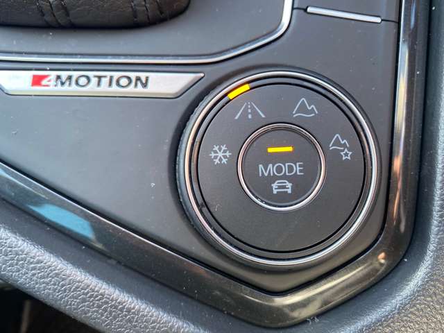 フォルクスワーゲン ティグアン ＴＤＩ ４モーション ハイライン ディーゼルターボ ４ＷＤ R2年 (東北) 99