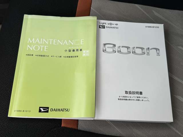 ダイハツ ブーン １．０ シルク Ｇパッケージ ＳＡＩＩＩ R5年 (九州・沖縄) 99
