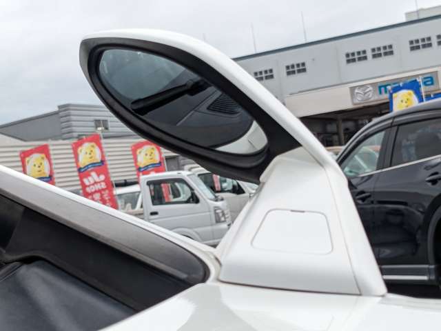 トヨタ ヴェルファイア ２．５ Ｚ Ａエディション ゴールデンアイズ H28年 (九州・沖縄) 99