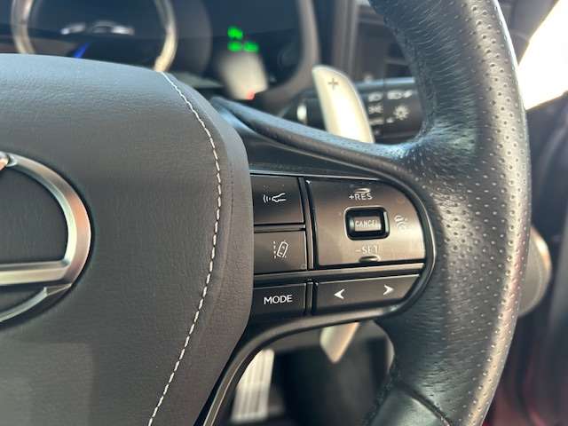 レクサス ＬＣ５００ Ｓパッケージ H30年 (東海) 99