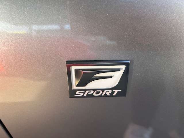 レクサス ＲＣ３００ｈ Ｆスポーツ R1年 (東海) 99