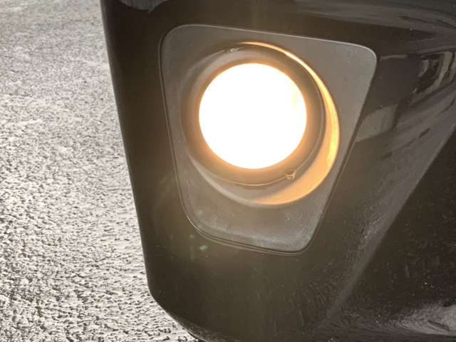 日産 デイズ ６６０ ハイウェイスターＧ ４ＷＤ H25年 (東北) 99