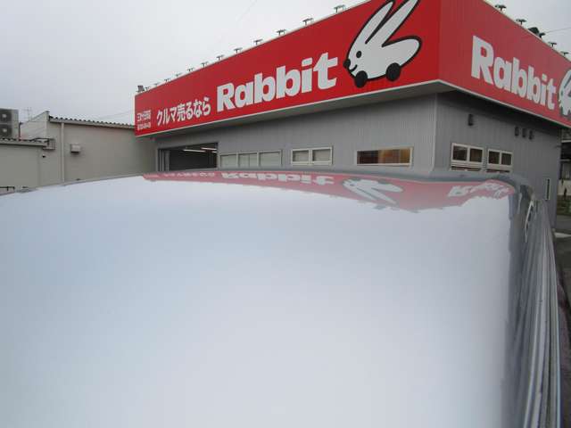 ダイハツ ハイゼットカーゴ ６６０ デラックス ハイルーフ H30年 (中国) 99