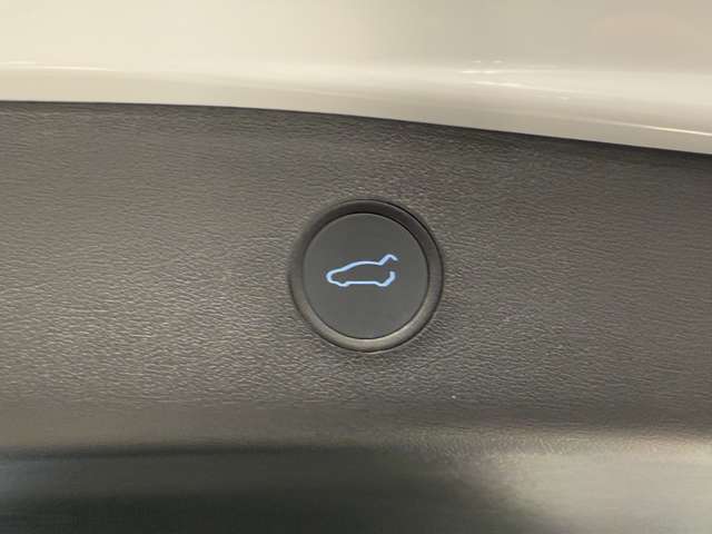 テスラ モデル３ スタンダードレンジ R3年 (関東) 99