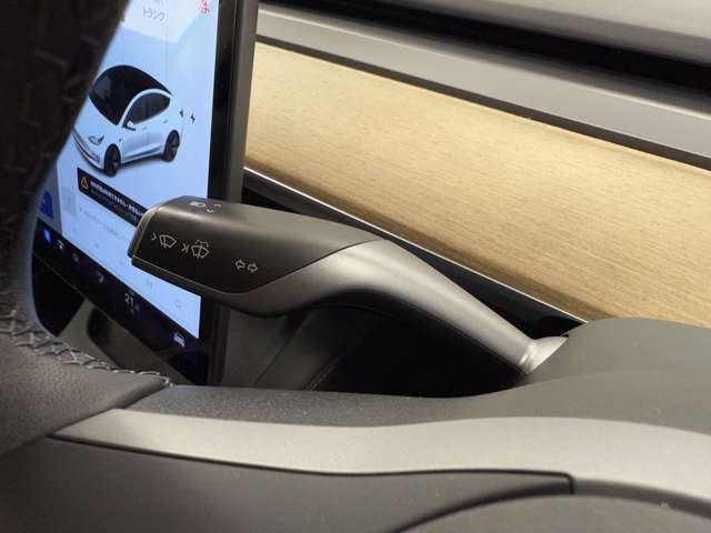 テスラ モデル３ スタンダードレンジ R3年 (関東) 99