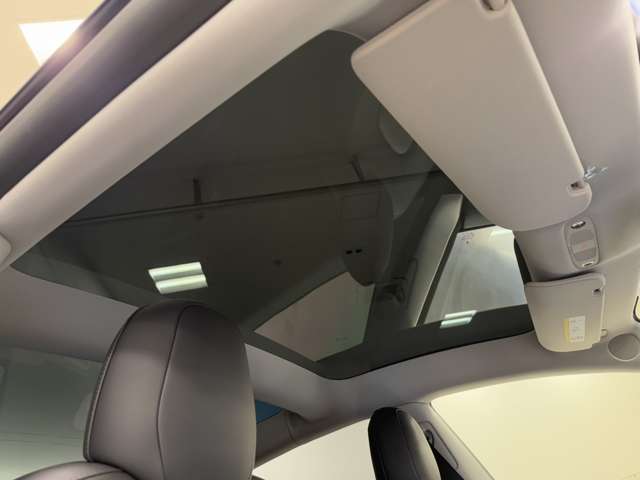 テスラ モデル３ スタンダードレンジ R3年 (関東) 99