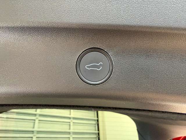 テスラ モデルＹ ＲＷＤ R4年 (関東) 99