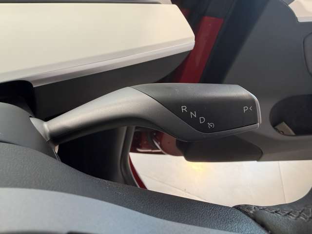 テスラ モデルＹ ＲＷＤ R4年 (関東) 99