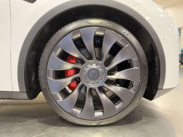 テスラ モデルＹ パフォーマンス R4年 (関東) 99
