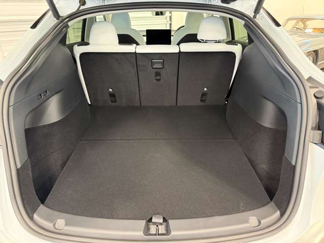 テスラ モデルＹ パフォーマンス R4年 (関東) 99