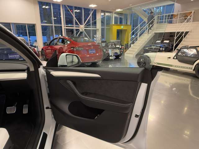 テスラ モデルＹ パフォーマンス R4年 (関東) 99