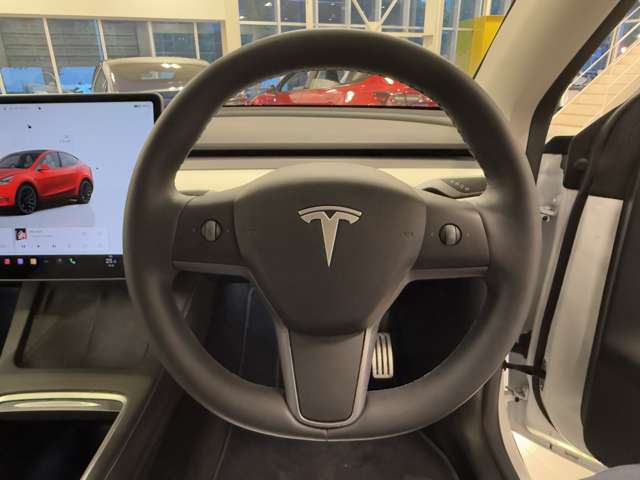 テスラ モデルＹ パフォーマンス R4年 (関東) 99