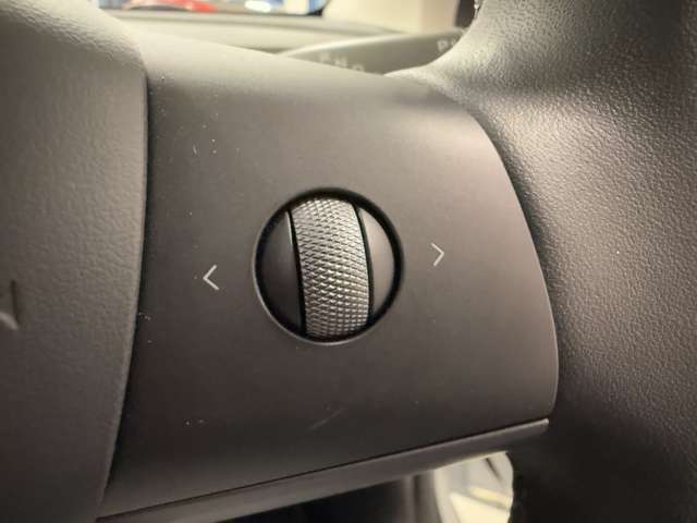 テスラ モデルＹ パフォーマンス R4年 (関東) 99