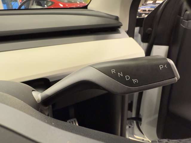 テスラ モデルＹ パフォーマンス R4年 (関東) 99