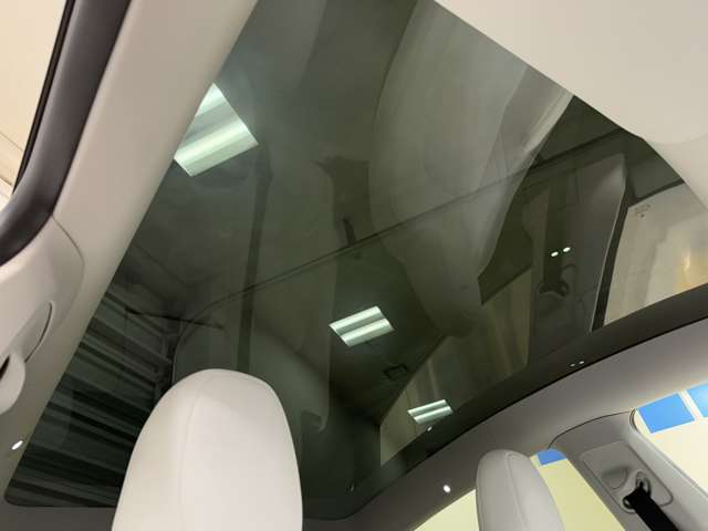 テスラ モデルＹ パフォーマンス R4年 (関東) 99