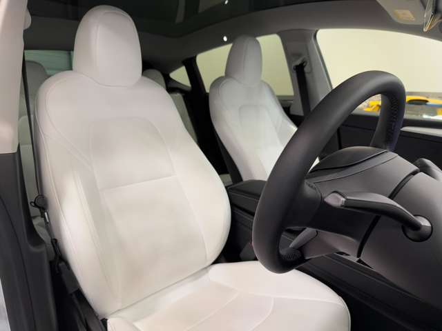 テスラ モデルＹ パフォーマンス R4年 (関東) 99