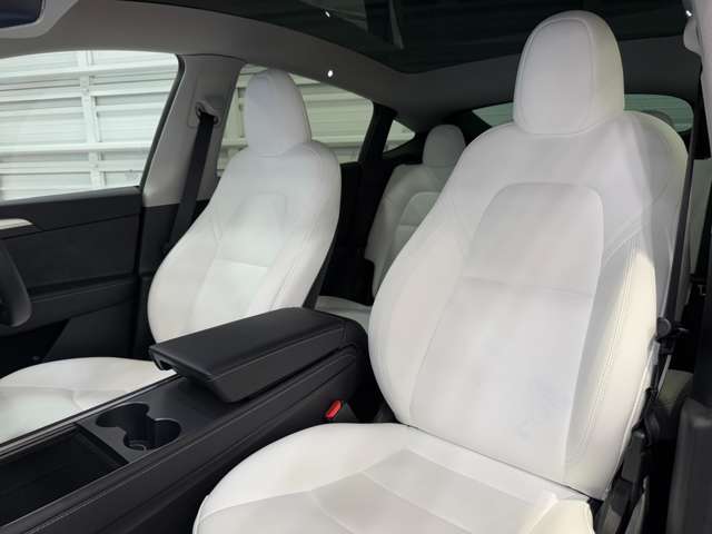 テスラ モデルＹ パフォーマンス R4年 (関東) 99