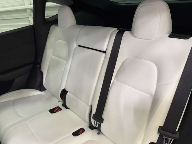 テスラ モデルＹ パフォーマンス R4年 (関東) 99