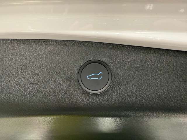 テスラ モデル３ ＲＷＤ R5年 (関東) 99