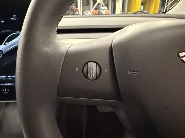 テスラ モデル３ ＲＷＤ R5年 (関東) 99