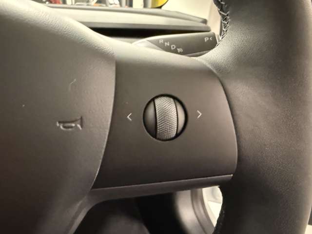 テスラ モデル３ ＲＷＤ R5年 (関東) 99