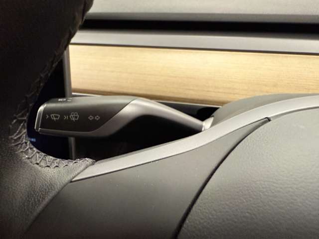 テスラ モデル３ ＲＷＤ R5年 (関東) 99