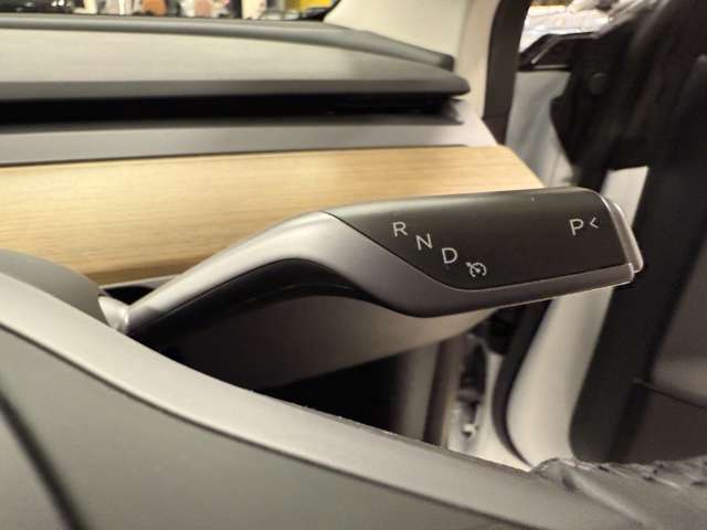 テスラ モデル３ ＲＷＤ R5年 (関東) 99