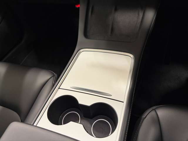 テスラ モデル３ ＲＷＤ R5年 (関東) 99