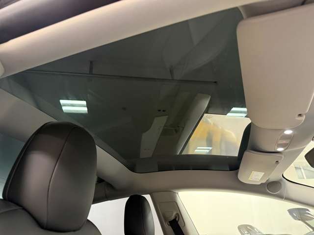 テスラ モデル３ ＲＷＤ R5年 (関東) 99
