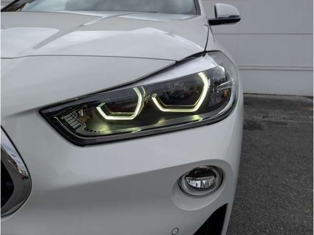 ＢＭＷ Ｘ２ Ｘドライブ２０Ｉ ＭスポーツＸ ４ＷＤ H30年 (東北) 99