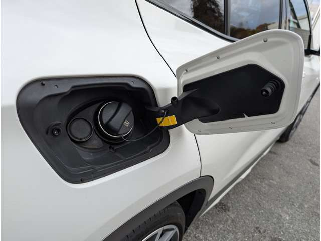 ＢＭＷ Ｘ２ Ｘドライブ２０Ｉ ＭスポーツＸ ４ＷＤ H30年 (東北) 99