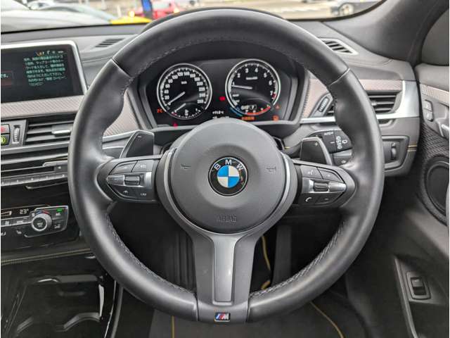 ＢＭＷ Ｘ２ Ｘドライブ２０Ｉ ＭスポーツＸ ４ＷＤ H30年 (東北) 99