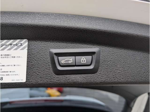 ＢＭＷ Ｘ２ Ｘドライブ２０Ｉ ＭスポーツＸ ４ＷＤ H30年 (東北) 99