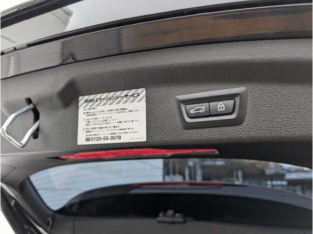 ＢＭＷ Ｘ２ Ｘドライブ２０Ｉ ＭスポーツＸ ４ＷＤ H30年 (東北) 99