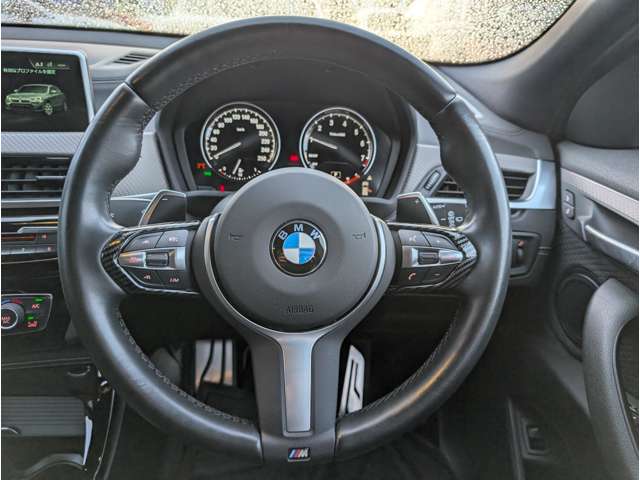 ＢＭＷ Ｘ２ Ｘドライブ２０Ｉ ＭスポーツＸ ４ＷＤ H30年 (東北) 99