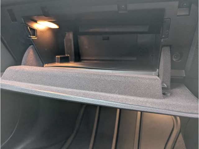 ＢＭＷ Ｘ２ Ｘドライブ２０Ｉ ＭスポーツＸ ４ＷＤ H30年 (東北) 99