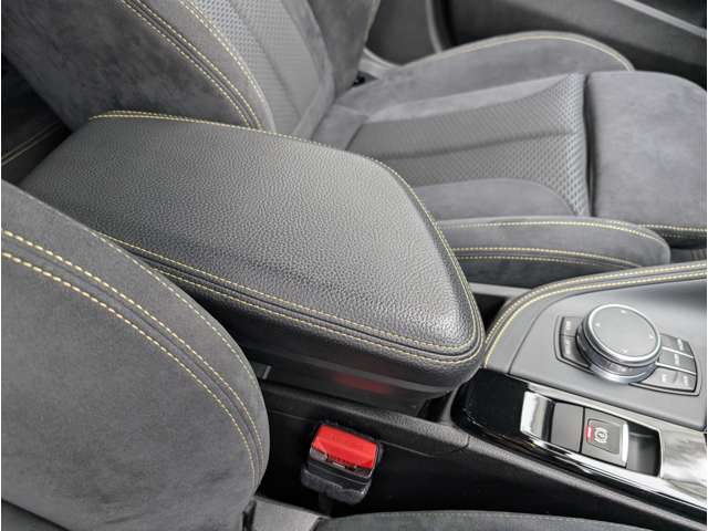 ＢＭＷ Ｘ２ Ｘドライブ２０Ｉ ＭスポーツＸ ４ＷＤ H30年 (東北) 99