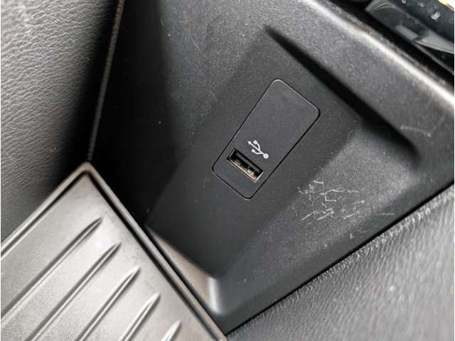 ＢＭＷ Ｘ２ Ｘドライブ２０Ｉ ＭスポーツＸ ４ＷＤ H30年 (東北) 99