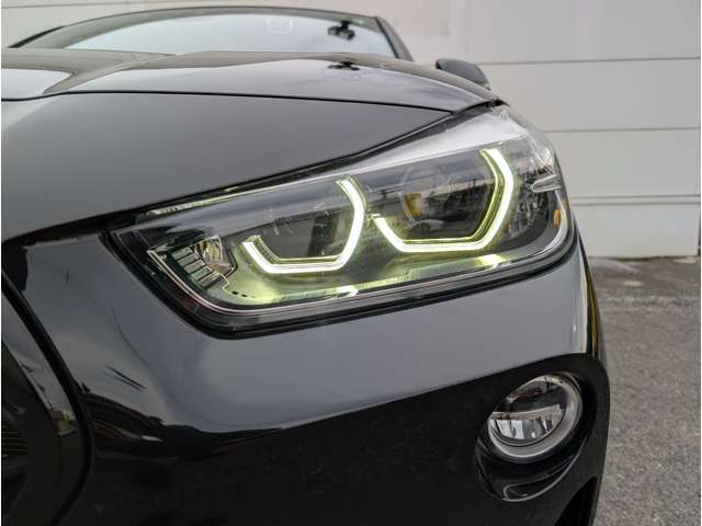 ＢＭＷ Ｘ２ Ｘドライブ２０Ｉ ＭスポーツＸ ４ＷＤ H30年 (東北) 99