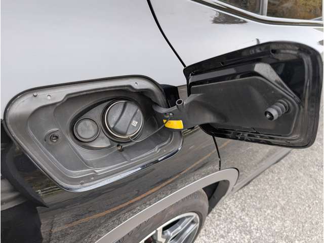 ＢＭＷ Ｘ２ Ｘドライブ２０Ｉ ＭスポーツＸ ４ＷＤ H30年 (東北) 99