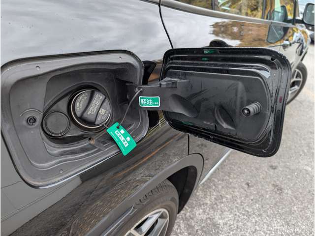 ＢＭＷ Ｘ１ Ｘドライブ １８Ｄ Ｘライン ４ＷＤ H29年 (東北) 99