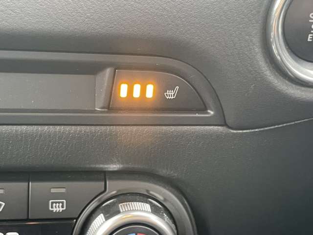 マツダ ＣＸ−５ ２．５ ２５Ｓ プロアクティブ ４ＷＤ H29年 (東北) 99