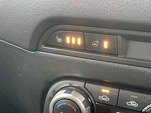 マツダ ＣＸ−５ ２．５ ２５Ｓ プロアクティブ ４ＷＤ H29年 (東北) 99