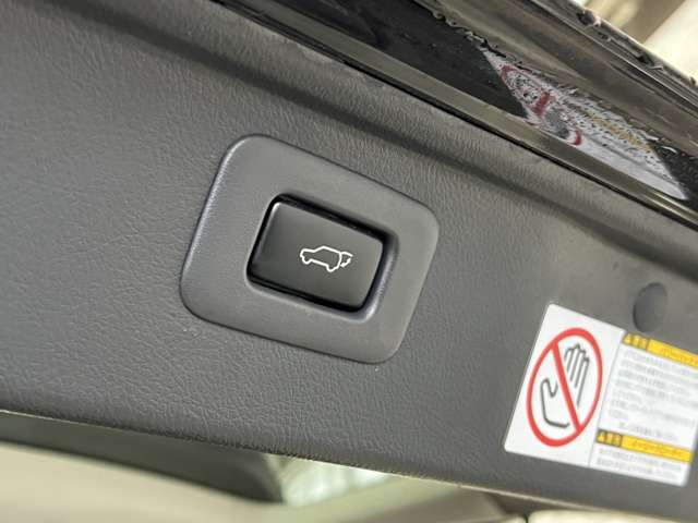 トヨタ ヴェルファイア ２．４Ｚ　プラチナセレクション H22年 (関東) 99