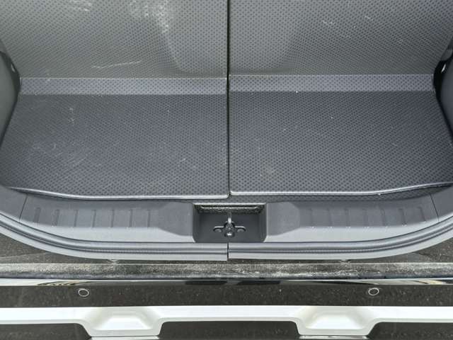 三菱 デリカ　ミニ ６６０ Ｔ プレミアム ４ＷＤ R6年 (中国) 99