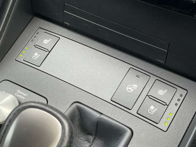 レクサス ＩＳ３５０ Ｆスポーツ　モードブラック R2年 (東北) 99