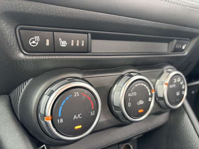 マツダ ＣＸ−３ ２．０ ２０Ｓ プロアクティブ Ｓパッケージ R1年 (東北) 99