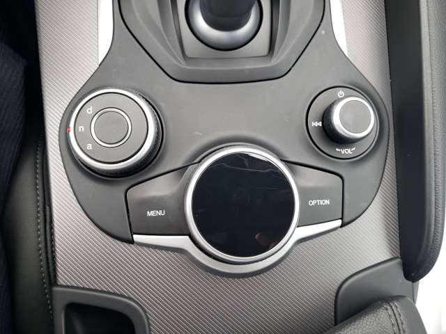 アルファロメオ ジュリア ヴェローチェ ４ＷＤ H30年 (東北) 99